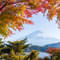 1613373373 shutterstock 560045110.jpg?w=60&h=60&dpr=1